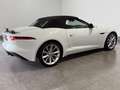 Jaguar F-Type F-TYPE Cabriolet*NAVI*RFK*S-HEFT Blanc - thumbnail 6