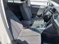 Volkswagen T-Roc 1.5 TSI Life DSG7 110KW Beige - thumbnail 5