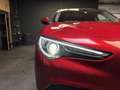 Alfa Romeo Stelvio First Edition Rouge - thumbnail 13