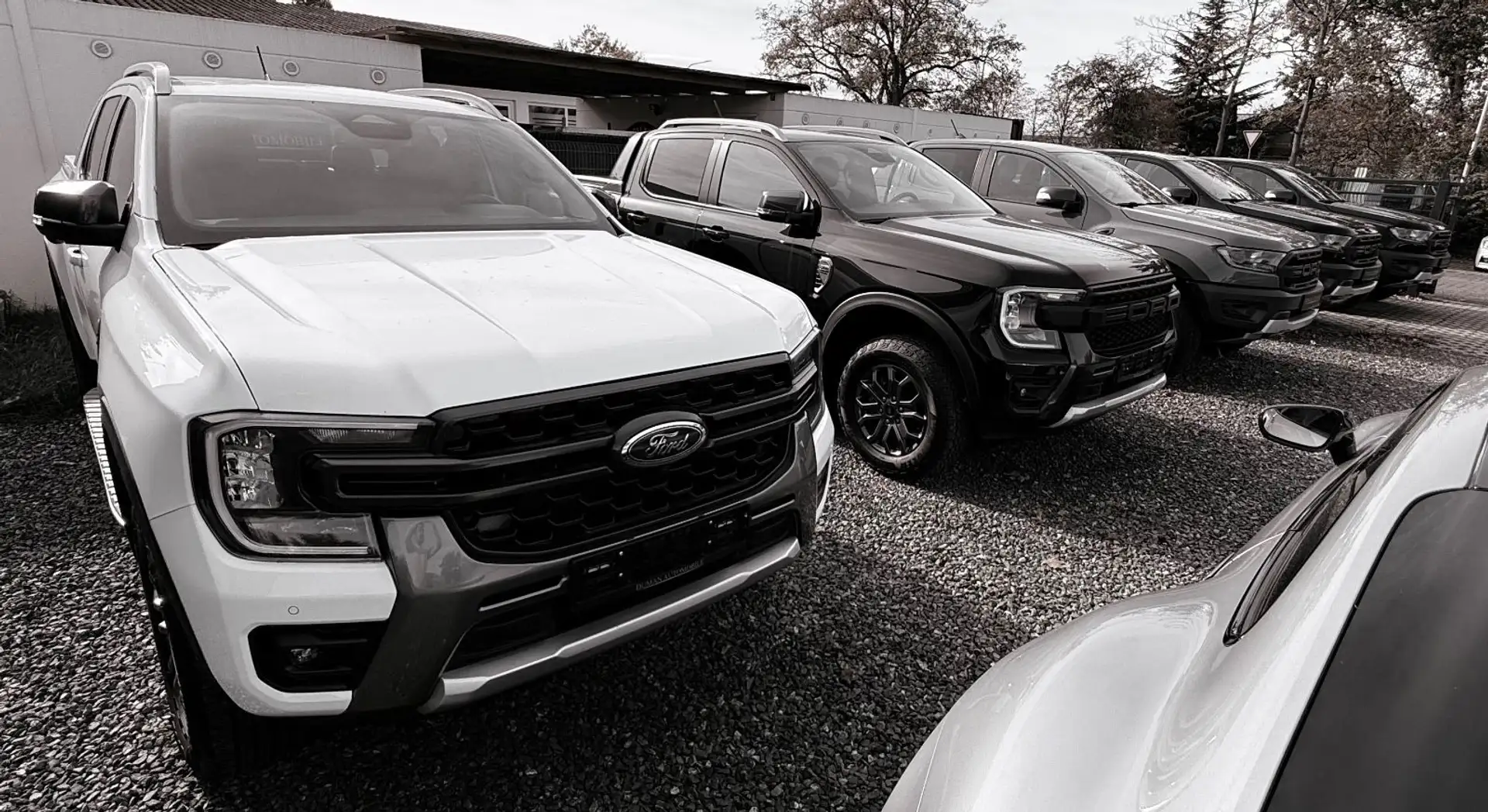 Ford Ranger Raptor Ranger Raptor Doppelkabine 4x4 PERFORMANCE 1.HD Grau - 2