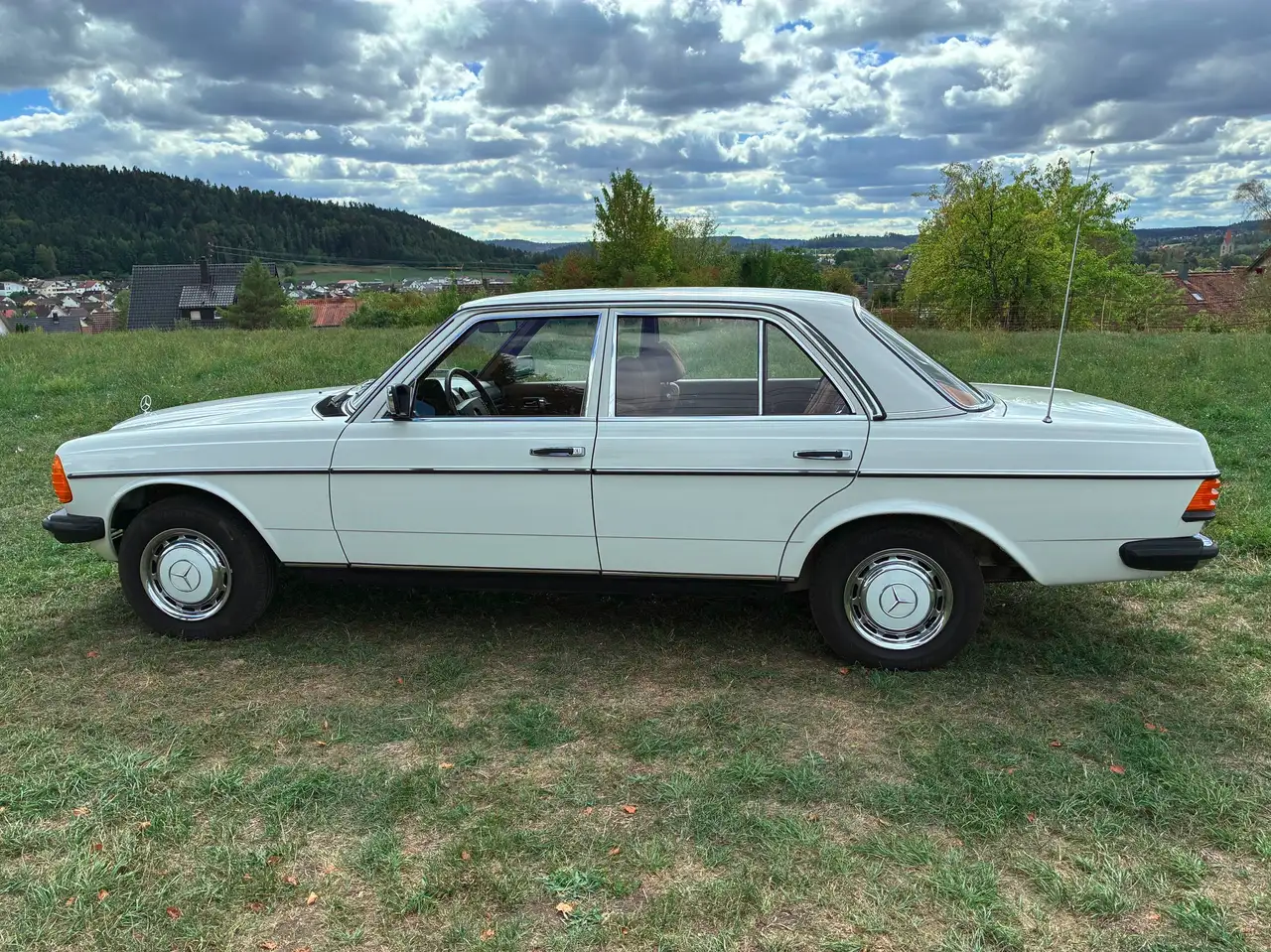 Mercedes-Benz 200 W123, foto 2