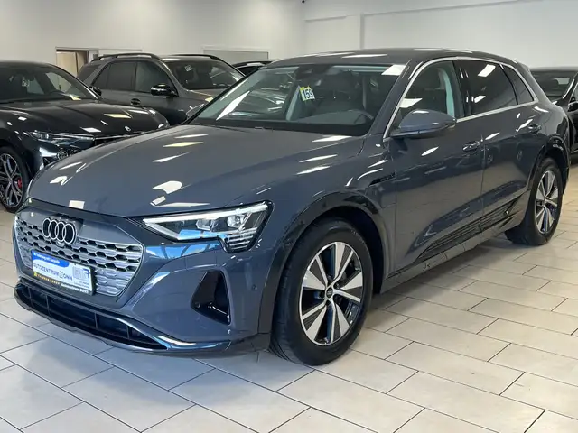 Audi Q8 e-tron 50 quattro*LED*R-Cam*AHK*ACC*DAB*Navi*