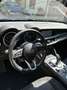Alfa Romeo Stelvio 2.2 t Business Q4 190cv auto - thumbnail 10