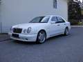 Mercedes-Benz E 55 AMG E 55 AMG 4-MATIC Weiß - thumbnail 1
