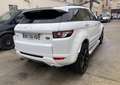 Land Rover Range Rover Evoque LAND 2.2 SD4-190Ch PRESTIGE GARANTIE 12-MOIS - thumbnail 4