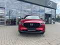 Mazda CX-5 2.5 (194PS) FWD Autom. Homura Leder Sitzhei Rosso - thumbnail 8