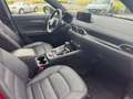 Mazda CX-5 2.5 (194PS) FWD Autom. Homura Leder Sitzhei Rosso - thumbnail 13