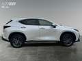 Lexus NX 350h Business Line +360Kamera+AHK+ Weiß - thumbnail 7
