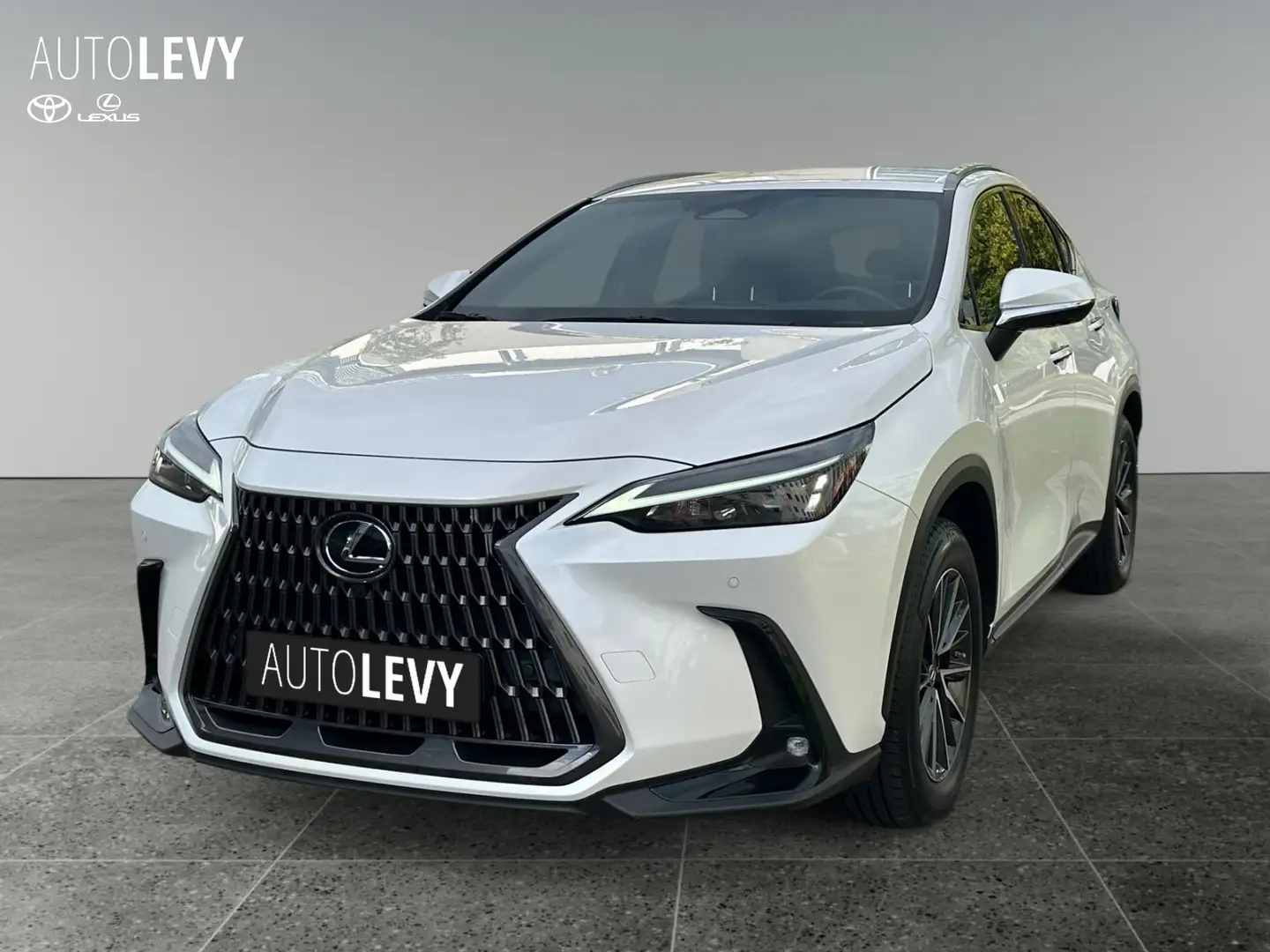 Lexus NX 350h Business Line +360Kamera+AHK+ Weiß - 2