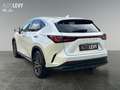 Lexus NX 350h Business Line +360Kamera+AHK+ Weiß - thumbnail 4
