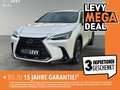 Lexus NX 350h Business Line +360Kamera+AHK+ Weiß - thumbnail 1