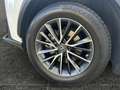Lexus NX 350h Business Line +360Kamera+AHK+ Weiß - thumbnail 15