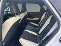 Lexus NX 350h Business Line +360Kamera+AHK+ Weiß - thumbnail 14