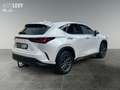 Lexus NX 350h Business Line +360Kamera+AHK+ Weiß - thumbnail 6