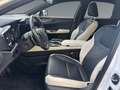 Lexus NX 350h Business Line +360Kamera+AHK+ Weiß - thumbnail 10