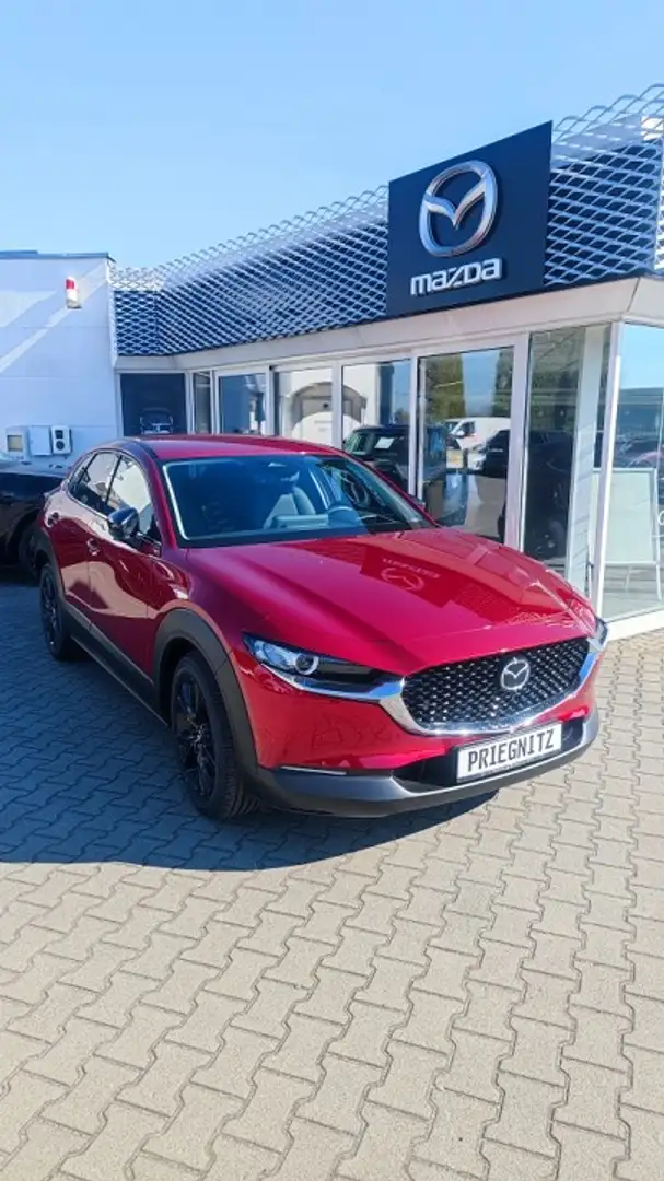 Mazda CX-30 2.5L e-SKYACTIV G 140ps Homura, 140 PS, Sitzheizun Rot - 2
