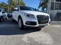 Audi Q5 Q5 2.0 tdi Business quattro 177cv s-tronic EURO 5B Bianco - thumbnail 3