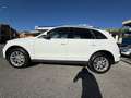 Audi Q5 Q5 2.0 tdi Business quattro 177cv s-tronic EURO 5B Bianco - thumbnail 6