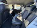 Audi Q5 Q5 2.0 tdi Business quattro 177cv s-tronic EURO 5B Bianco - thumbnail 10