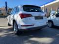 Audi Q5 Q5 2.0 tdi Business quattro 177cv s-tronic EURO 5B Bianco - thumbnail 4