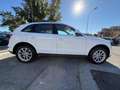 Audi Q5 Q5 2.0 tdi Business quattro 177cv s-tronic EURO 5B Bianco - thumbnail 7