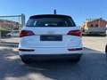 Audi Q5 Q5 2.0 tdi Business quattro 177cv s-tronic EURO 5B Bianco - thumbnail 5