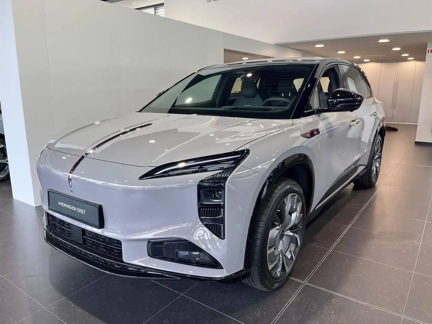 Hongqi EHS7 Long Range Grijs - 1