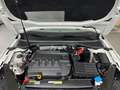 Volkswagen Passat Alltrack 2.0 TDI Aut. LED/LEDER/AHK/TOP! Weiß - thumbnail 8