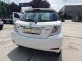 Toyota Yaris 1.4 D-4D 5 porte Trend white edition Blanc - thumbnail 21