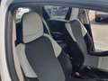 Toyota Yaris 1.4 D-4D 5 porte Trend white edition Blanc - thumbnail 23