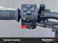 Triumph Trident 660 Depotenziata A2 Noir - thumbnail 12