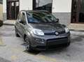 Fiat Panda Panda 1.0 firefly hybrid City Life s Grau - thumbnail 1