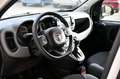 Fiat Panda Panda 1.0 firefly hybrid City Life s Grau - thumbnail 7
