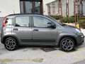 Fiat Panda Panda 1.0 firefly hybrid City Life s Grau - thumbnail 2