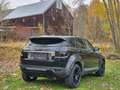 Land Rover Range Rover Evoque SE 4x4 *Steuerkette+Service+Reifen Neu* Negro - thumbnail 14