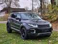 Land Rover Range Rover Evoque SE 4x4 *Steuerkette+Service+Reifen Neu* Negro - thumbnail 6