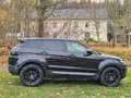 Land Rover Range Rover Evoque SE 4x4 *Steuerkette+Service+Reifen Neu* Negro - thumbnail 8