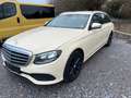 Mercedes-Benz E 220 E-Klasse T-Modell Diesel d T 9G-TRONIC Beige - thumbnail 3