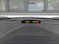 Porsche Cayenne 3.2 V6 BENZINA 250 CV CAMBIO MANUALE Gris - thumbnail 20