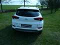 Hyundai TUCSON 2.0 CRDi 4WD Automatik Advantage Blanco - thumbnail 6