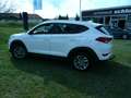 Hyundai TUCSON 2.0 CRDi 4WD Automatik Advantage Blanco - thumbnail 8