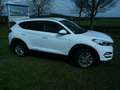 Hyundai TUCSON 2.0 CRDi 4WD Automatik Advantage Blanco - thumbnail 4