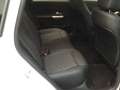 Mercedes-Benz B 250 B 250 e mit EQ Progressive Advanced/AHK/AC 11kW Weiß - thumbnail 12