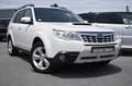 Subaru Forester 2.0 D BOXER DIESEL AWD Weiß - thumbnail 1