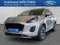 Ford Puma Titanium 1.0 EcoBoost Mild Hybrid EU6d Silber - thumbnail 1