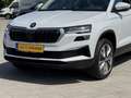 Skoda Karoq 1.5 TSI ACT Business Edition Plus Automaat | Panod Blanc - thumbnail 6