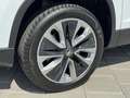 Skoda Karoq 1.5 TSI ACT Business Edition Plus Automaat | Panod Blanc - thumbnail 5