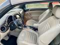 Volkswagen Maggiolino Cabrio 2.0 tsi Sport 210cv dsg Bruin - thumbnail 20