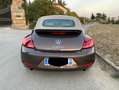 Volkswagen Maggiolino Cabrio 2.0 tsi Sport 210cv dsg Bruin - thumbnail 4