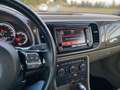 Volkswagen Maggiolino Cabrio 2.0 tsi Sport 210cv dsg Bruin - thumbnail 15